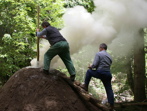  Image name: 04 Carbonai.jpg 
 width: 510 pixel 
 height: 383 pixel 
 Size: 54549 bytes 
 Click to enlarge 